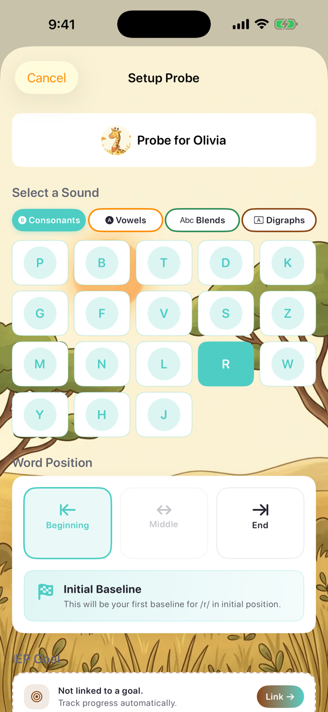 Probe setup — sound, word position, and the Initial Baseline note